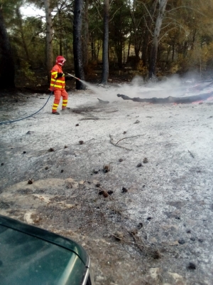 Incendiata parte della pineta di Sant&#039; Antonio