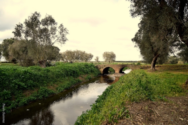 Il canale reale