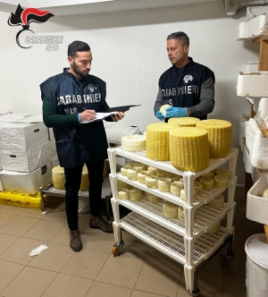 SEQUESTRO DI FORMAGGI CONTRAFFATTI AL MERCATO SETTIMANALE DI BRINDISI