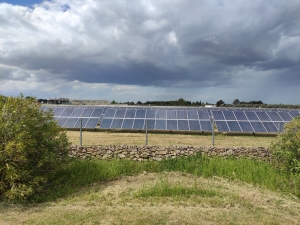 CONSUMO SUOLO: COLDIRETTI PUGLIA, IN PUGLIA IL PIÙ ALTO D&#039;ITALIA; 75% IMPIANTI FOTOVOLTAICI E&#039; A TERRA