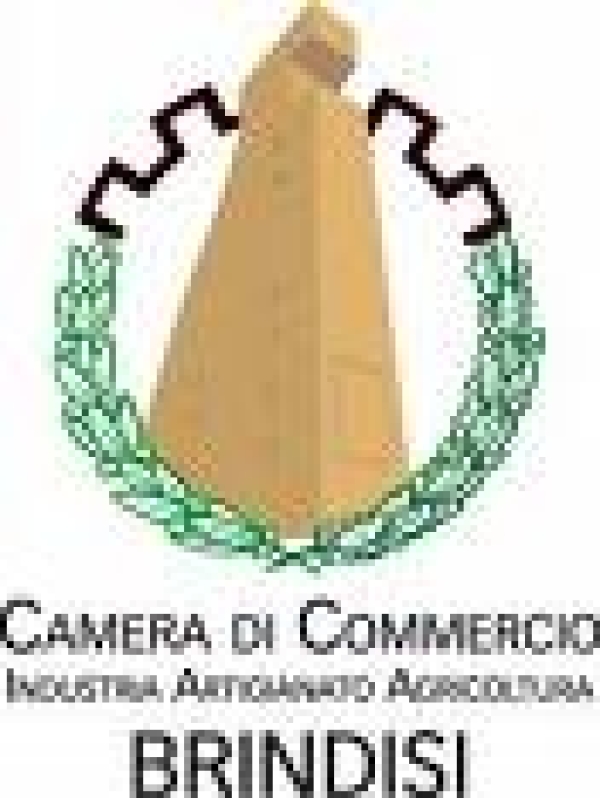 Accorpamento Camere di Commercio di Brindisi e Taranto. Precisazioni e ricorso in Appello al Consiglio di Stato