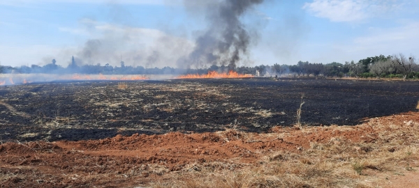 INCENDI: COLDIRETTI PUGLIA, IN FUMO CAMPI DI GRANO. MANO PIROMANI IN 6 ROGHI SU 10