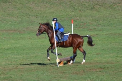 La Puglia con i centri equestri “Acqua2O “ e “Red Water” si classifica al 2° posto nel “Trofeo delle Regioni”