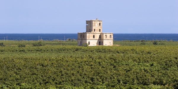 Tre Bicchieri del Gambero Rosso all&#039;Oltremé di Tenute Rubino