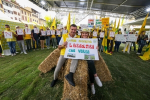 COLDIRETTI. CANCELLATO 1/4 DELLE CAMPAGNE (-28%)