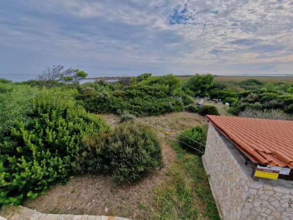 Al via il primo corso di apicoltura a Torre Guaceto