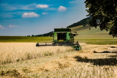 GRANO: DOMANI 22/6 AL VIA RACCOLTA NEL GRANAIO D’ITALIA