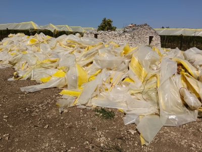 MALTEMPO: COLDIRETTI PUGLIA, STRAPPATI TELI UVA DA TAVOLA