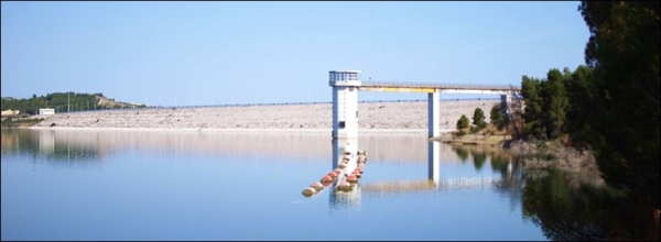 SICCITÀ: COLDIRETTI PUGLIA, ACQUA RAZIONATA ANCHE CON AUTOBOTTI SOS STALLE