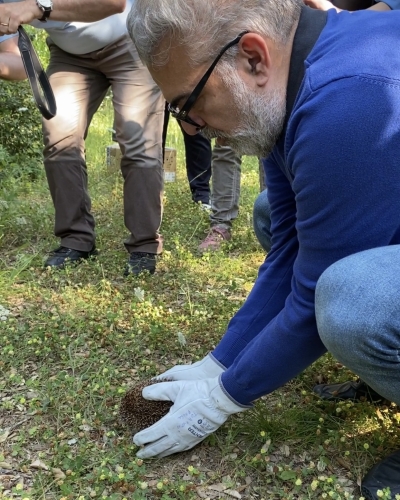 Centro di Fauna Selvatica della Provincia di Brindisi:  rimessi in libertà animali ricoverati e curati