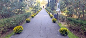 Commemorazione dei defunti, orari apertura del cimitero di MESAGNE