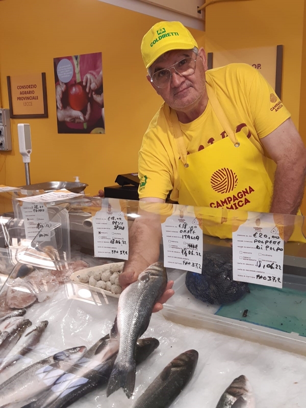 COLDIRETTI PUGLIA, CON TEMPERATURE BOLLENTI AUMENTA CONSUMO PESCE +20%