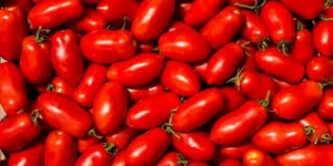 COLDIRETTI PUGLIA, 1 MLN DI POMODORO DA EGITTO CONTAMINATO