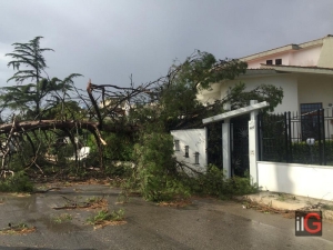 GIORNATA SUOLO: COLDIRETTI PUGLIA, 9 COMUNI SU 10 A RISCHIO FRANE / ALLUVIONI (89%)