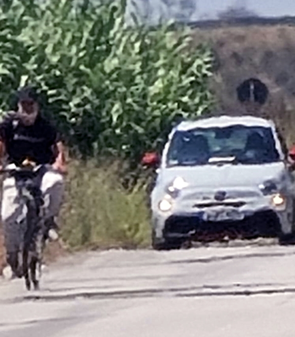 Mesagne. Indagini per individuare i &quot;topi di auto&quot;