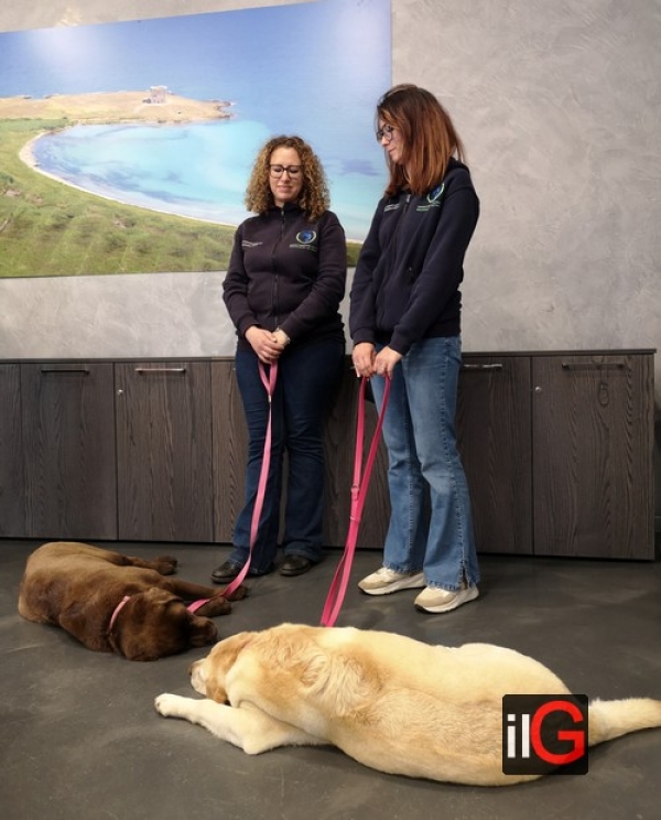 Pet therapy, nel reparto di Pediatria dell’ospedale Perrino arriva “Un dogtor in corsia”