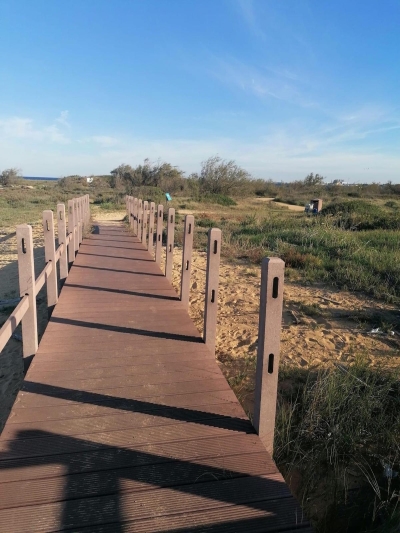 Rubate le palizzate della passerella del Parco di Punta Penne-Punta del Serrone