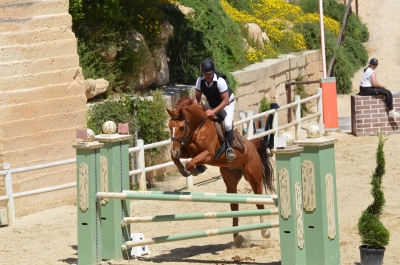 EQUITAZIONE. SUCCESSI A CAVALLO PER AQUADUEO ALL’HORSE CLUB TERRA JONICA