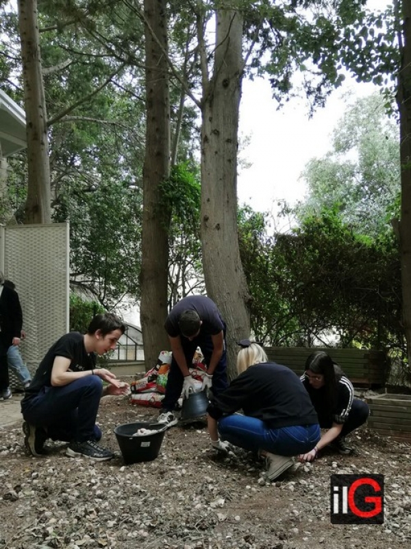 Al Museo Ribezzo la realizzazione de Il giardino dei semplici con la Scuola di Formazione “Profeta”