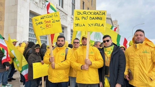 XYLELLA: COLDIRETTI PUGLIA, FLASH MOB AGRICOLTORI “FATE PRESTO!”; SUBITO SECONDO PIANO RIGERENAZIONE PER 115MILA ETTARI