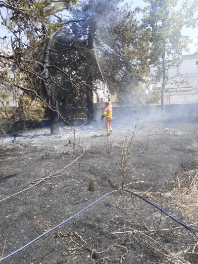 Mesagne. Distrutta dal fuoco la pineta del rione Grutti (Guarda il video)