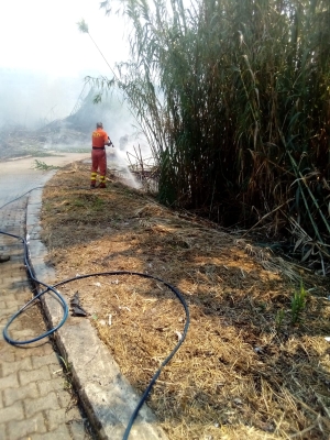 Incendio nel canale e il fumo invade i quartieri (Fotoservizio)