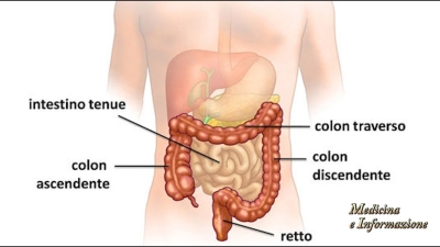 Sì alla legge Amati &quot;Colon al sicuro&quot;