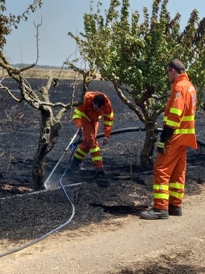 Mesagne. Incendio a ridosso del canile comunale (Guarda il video)